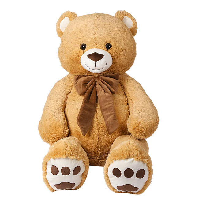 Bonnie Bear Package Sydney