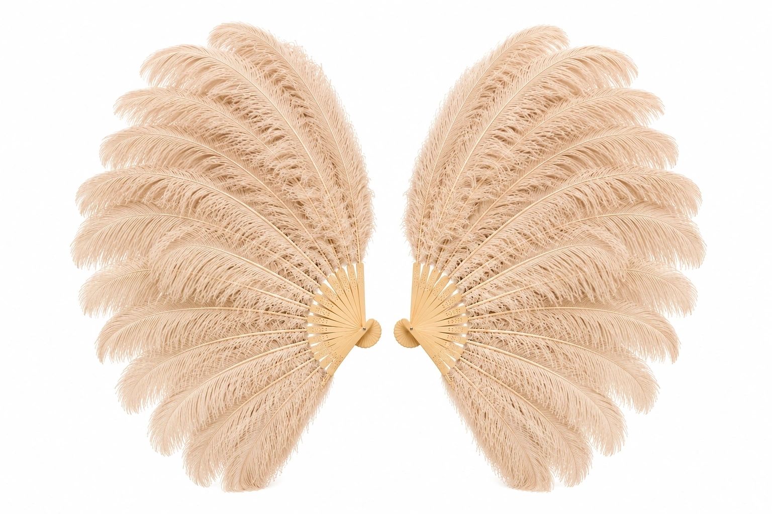 843509A0-4575-4941-9FEE-B59F1D062597.PNG