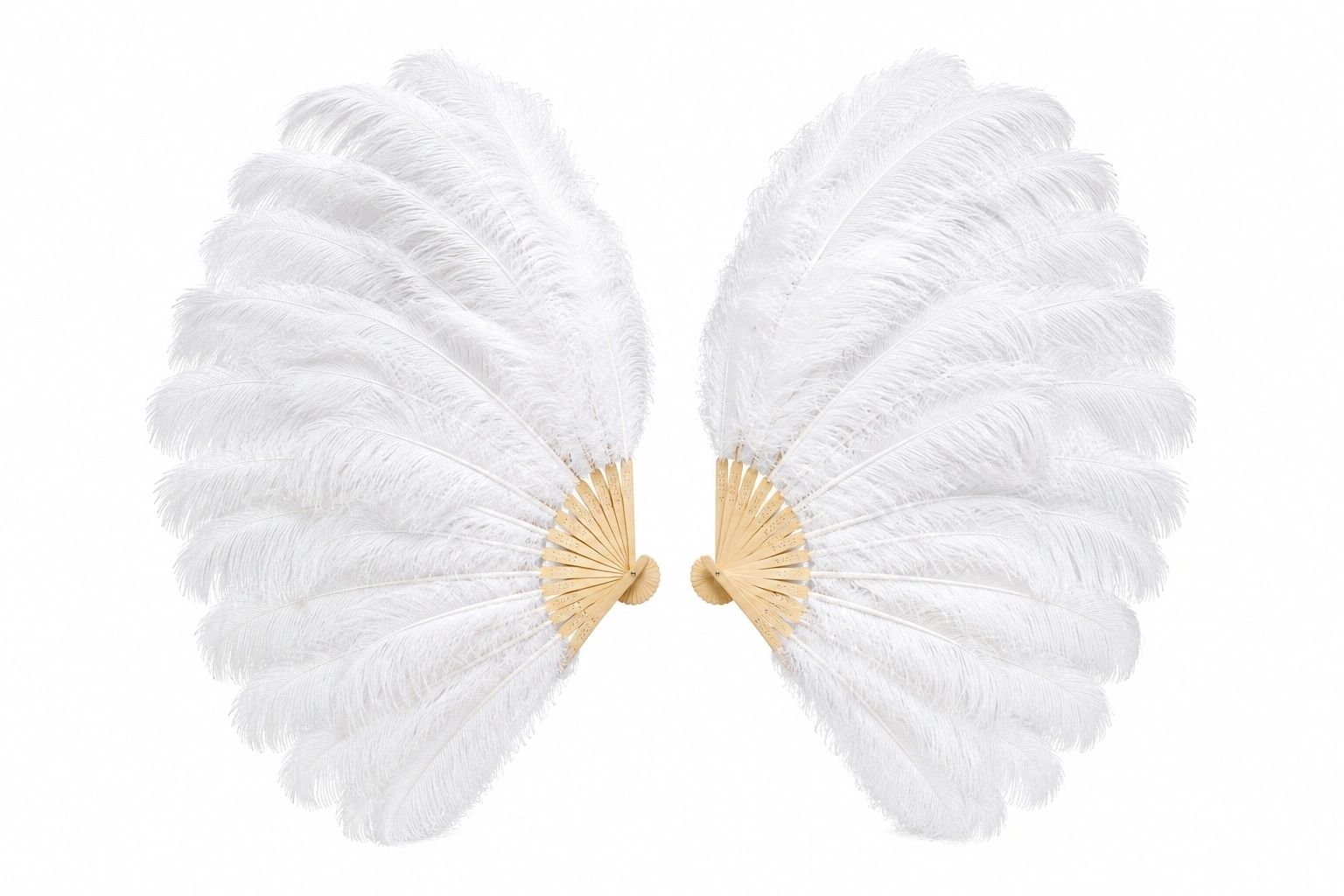 C29615CB-6F6A-427A-913E-3905AF93F019.PNG