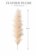 C307B0F9-0F8F-4C5C-B712-6B85F0465E3F-c892d1b.PNG