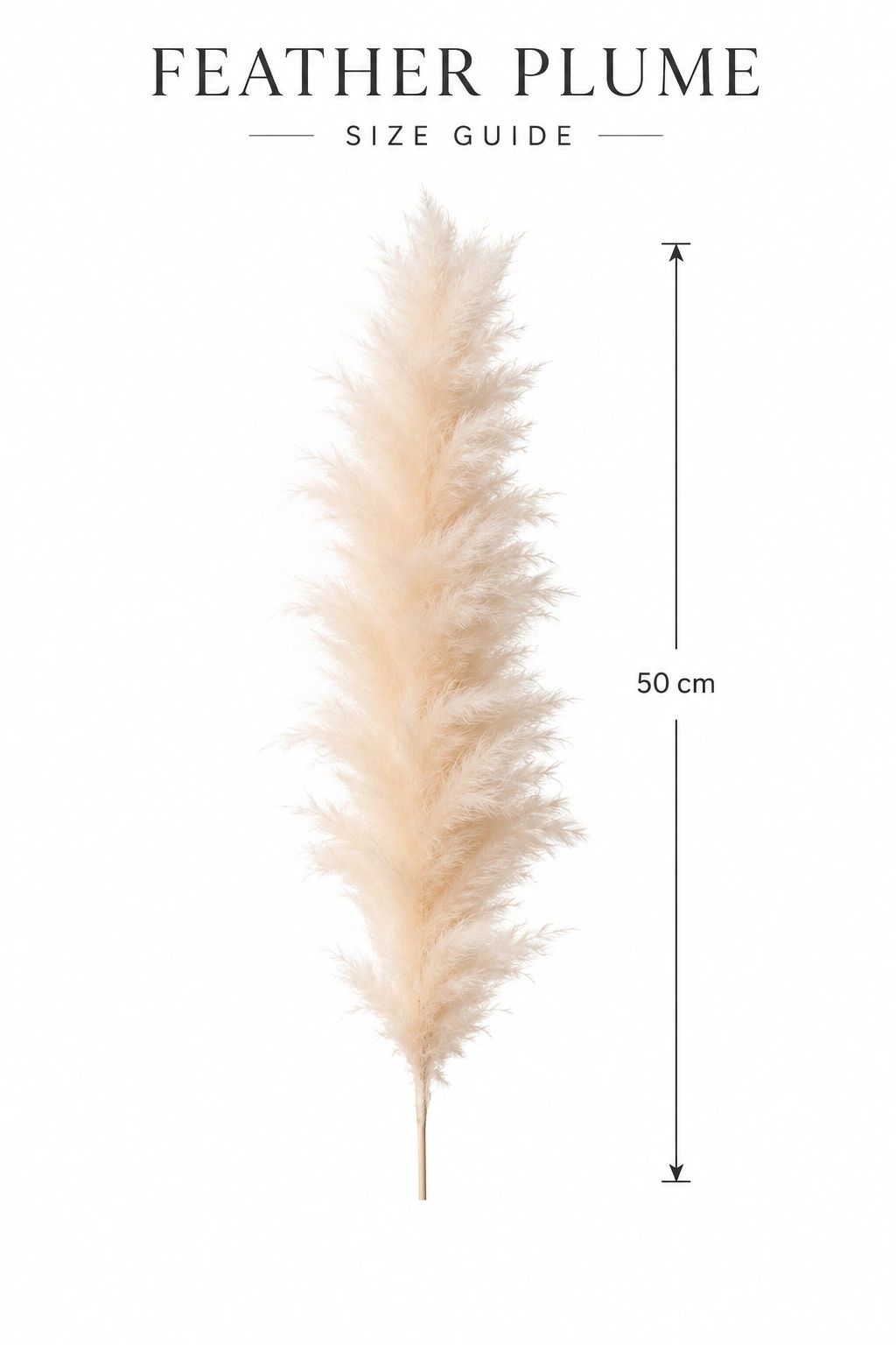 C307B0F9-0F8F-4C5C-B712-6B85F0465E3F-c892d1b.PNG