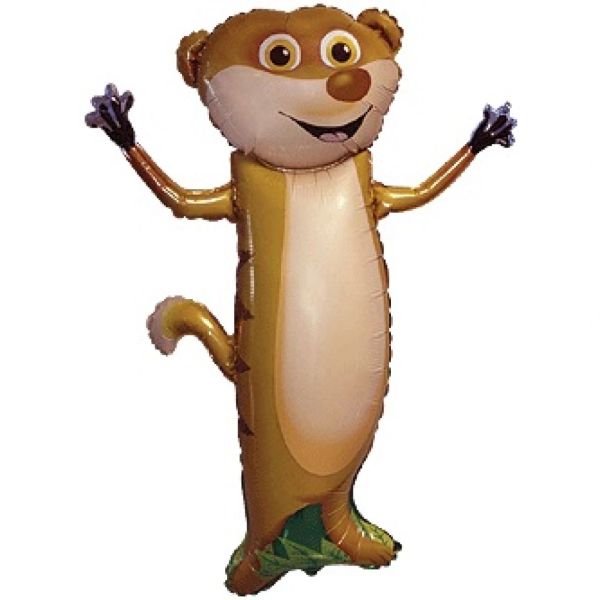 rs=w:600,h:600